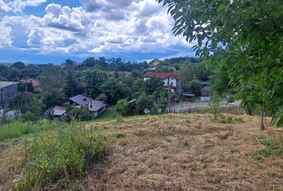Teren de 3500 mp, în Viforâta - 5
