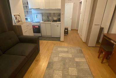 Apartament cu 2 camere nedecomandat în Rovinari - 5