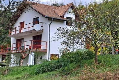 Casă cu Teren 2600 Mp în Central - 10