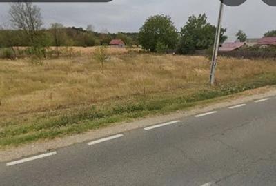 Teren de 1595 mp, în Broșteni (Costești) - 1