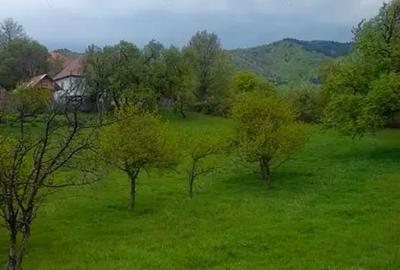 Teren de 26000 mp, în Rădăcinești