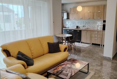 Apartament cu 2 camere semidecomandat în Dumbrăvița - 3