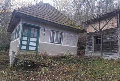 Casă cu 2 camere în Plai