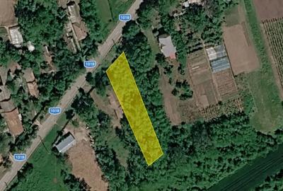 Teren agricol intravilan de 900 mp, în Merii Petchii - 3