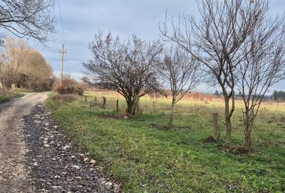 Teren intravilan de 5200 mp, în Cristian