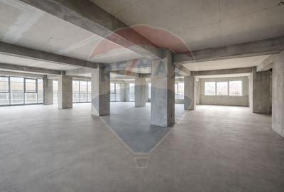 Spațiu comercial, de 954.80999755859 mp, în Boema - 4