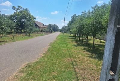 Casă cu Teren 5095 Mp în Călacea - 8