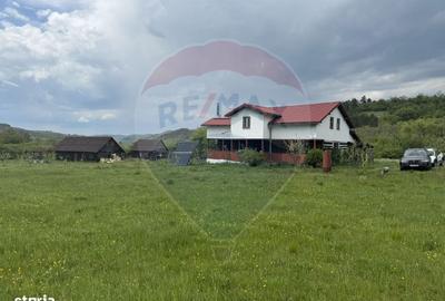 Casă cu 4 camere în Topa Mică - 3