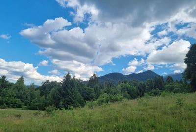 Teren de 9300 mp, în Pănicel - 3