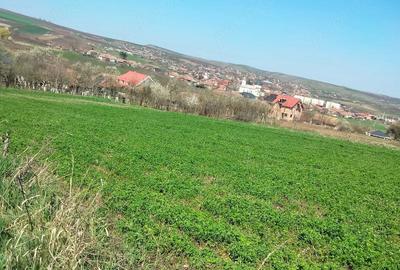 Teren de 3300 mp, în Râciu - 9