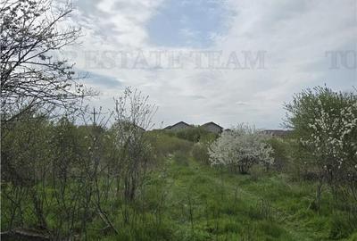 Teren de 2325 mp, în Joița