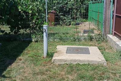 Teren de 2300 mp, în Snagov - 4