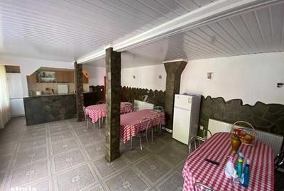 Casă cu 4 camere cu Teren 3750 Mp în Siriu - 7