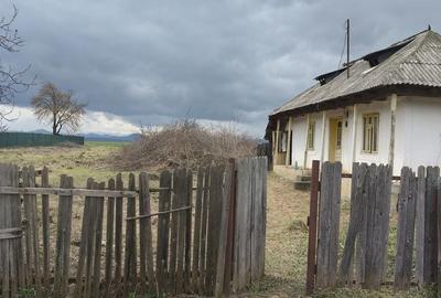 Teren de 2686 mp, în Girov - 5
