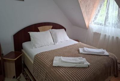 Spațiu comercial, de 830 mp, în Bucium - 3