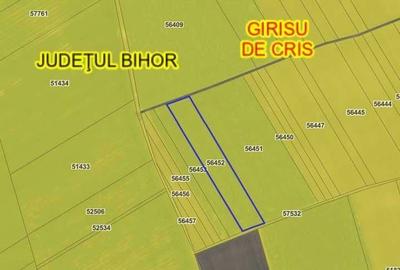 Teren de 12600 mp, în Girișu de Criș - 1