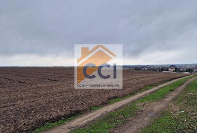 Teren agricol intravilan de 10000 mp, în Vest - 11