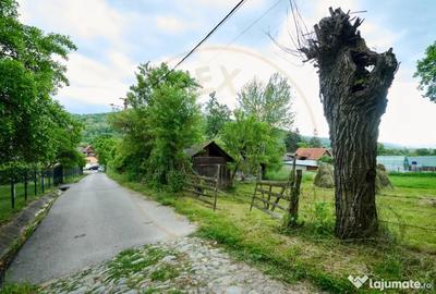 Casă cu 3 camere cu Teren 4696 Mp în Central - 9