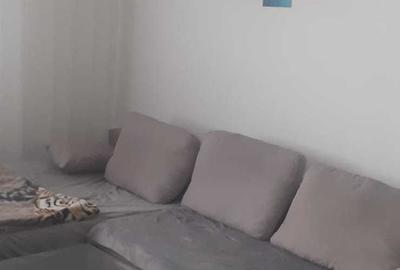 Apartament cu 2 camere în Nufărul