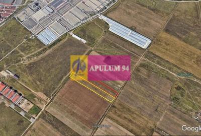 Teren Construcții intravilan de 7500 mp, în Dobroești - 1