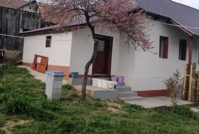 Casă cu 3 camere în Sânmihaiu Almașului