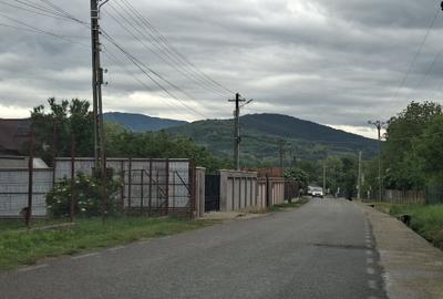 Teren de 10000 mp, în Unguriu - 6