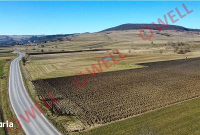 Teren de 15000 mp, în Bățani