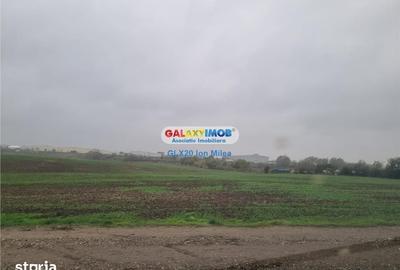 Teren de 10000 mp, în Pantelimon - 3