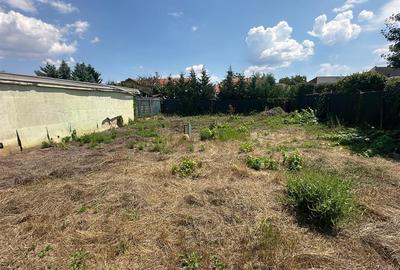 Casă cu 3 camere cu Teren 568 Mp în Lunei - 5