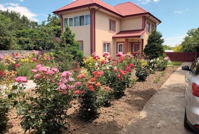 Casă cu 4 camere în Vărsătura - 7