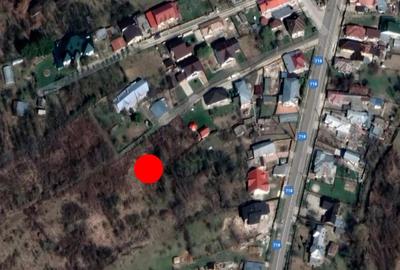 Teren de 2641 mp, în Viforâta - 1