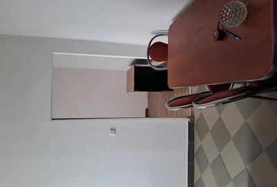 Garsonieră nedecomandată în Rogerius - 2