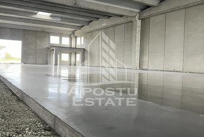 Spațiu comercial, de 523 mp, în Sânandrei - 5