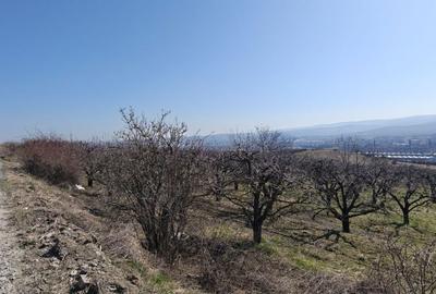 Spațiu comercial, în Iris