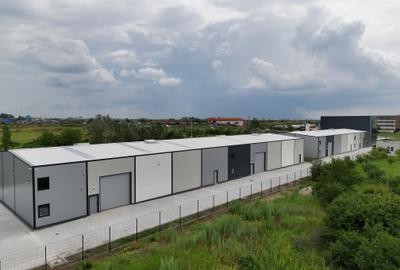 Spațiu industrial, de 1,900 mp, în Chitila - 3