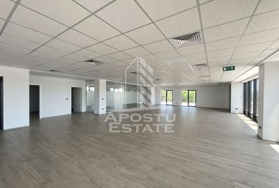 Spațiu comercial, de 297 mp, în Giroc - 1