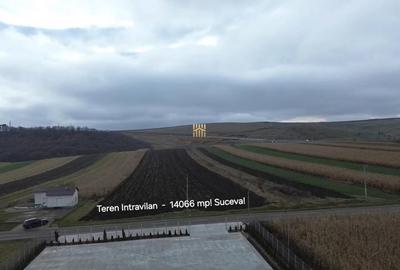 Teren de 14066 mp, în Mihoveni - 7