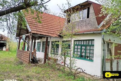 Casă cu 3 camere cu Teren 5060 Mp în Paleu - 1