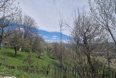 Teren de 2111 mp, în Ghioșești