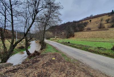Teren agricol extravilan de 16400 mp, în Poiana Mărului - 12