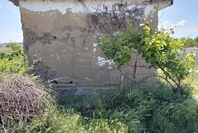 Casă cu Teren 370 Mp în Central