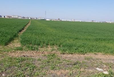 Teren Construcții intravilan de 10000 mp, în Dobroești - 11