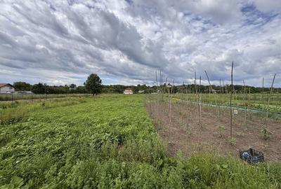 Casă cu 4 camere în Blăgești - 4