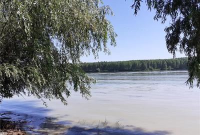 Teren în Mahmudia - 3