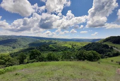Teren de 4000 mp, în Berchez