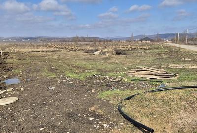 Teren de 846 mp, în Gura Ocniței - 13