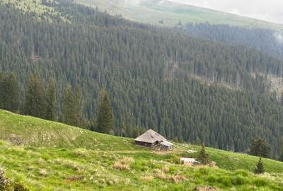 Spațiu comercial, de 1,100,000 mp, în Nucșoara - 1