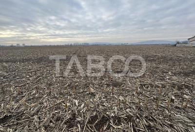 Teren Construcții intravilan de 5800 mp, în Făgăraș - 2