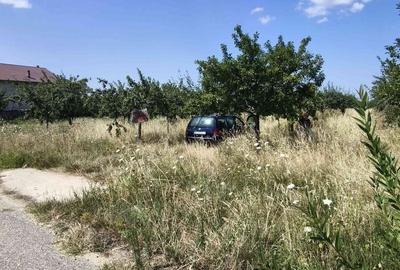 Teren de 9177 mp, în Dănicei