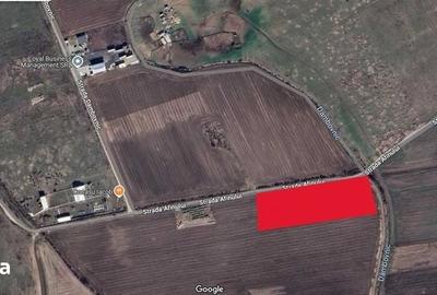 Teren de 10000 mp, în Albota